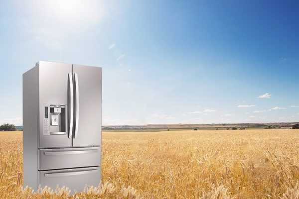 یخچال و فریزر در بیرون